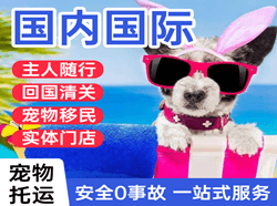 福州机场邮寄国际宠物托运 【国